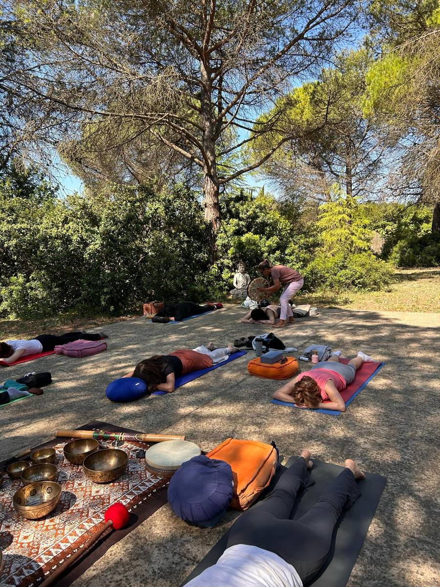 Sesión grupal al aire libre en bosque con participantes relajados
